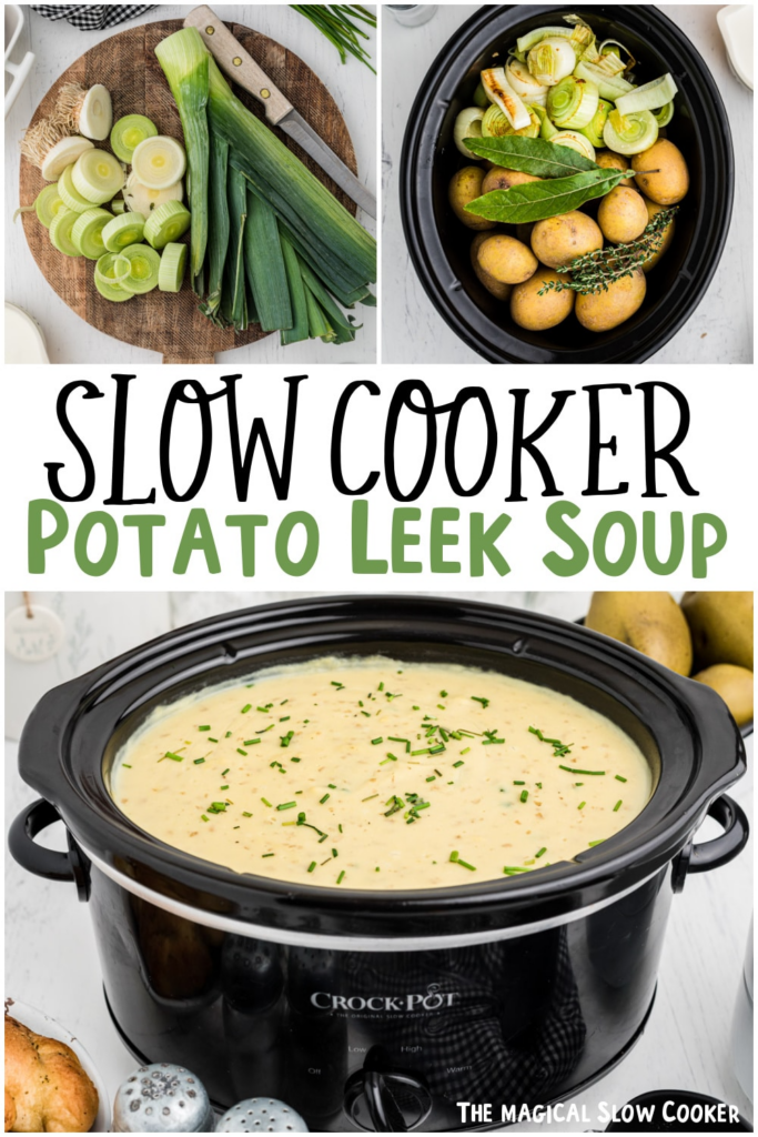 slow cooker potato leek soup